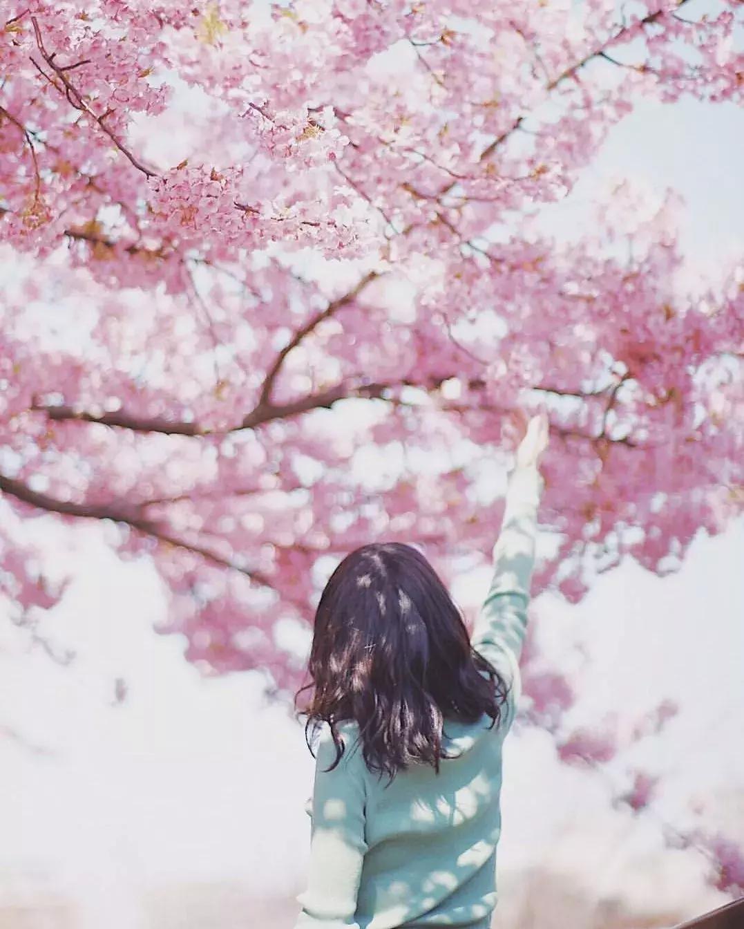 拍照时怎样做到不畏惧镜头,害怕镜头是什么症状