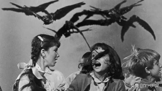 1998年美国海岸大批生物突发异样，专家共同侦查，真凶竟是天气