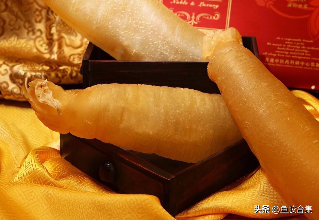 鱼胶怎么保存不会发霉,鱼胶里面发霉长毛有臭味