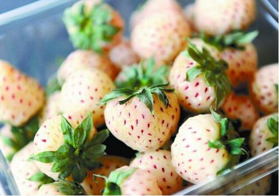 这种奇怪的果子你见过吗,这种水果很罕见