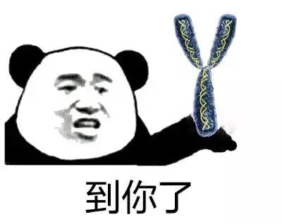 男性的胸部到底有什么用？又不能喂奶！可以丰胸吗？