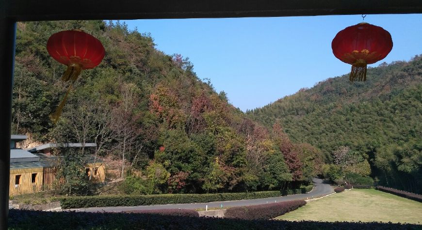 风景秀丽的宜兴竹海,漫步竹林呼吸大自然的清新