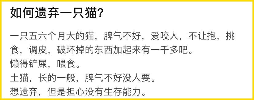 合租养猫劝退指南,《养猫劝退指南》