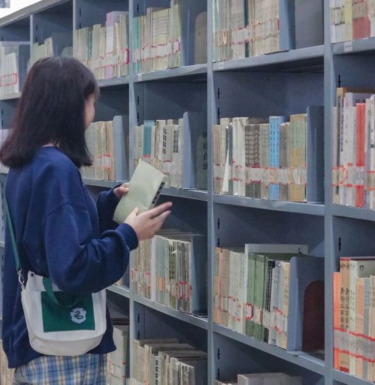 向往的生活1中的小院,精装版向往的生活