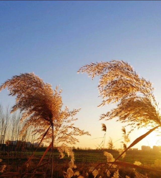 农村记忆散文,农村老水井散文