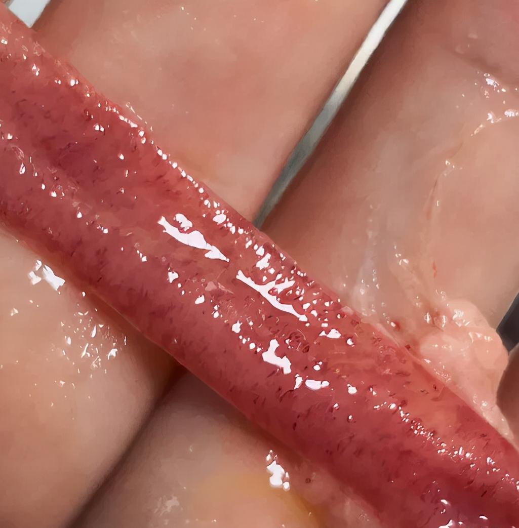 鱼病为什么老是反复治不好,鱼病久治不愈