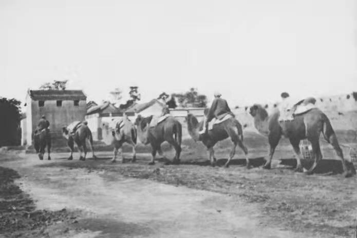 1656年3月3日，俄国使节首次来到清朝，他在那里看到了什么？