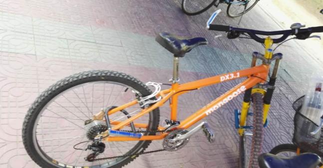 国内比较畅销的骑行自行车品牌,适合骑行自行车品牌排行榜前十名