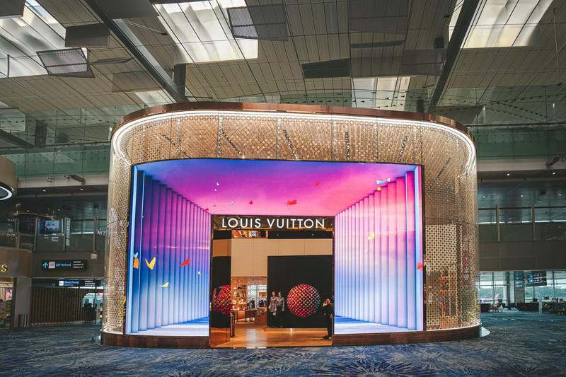 一人一猫环游,一人一猫旅行