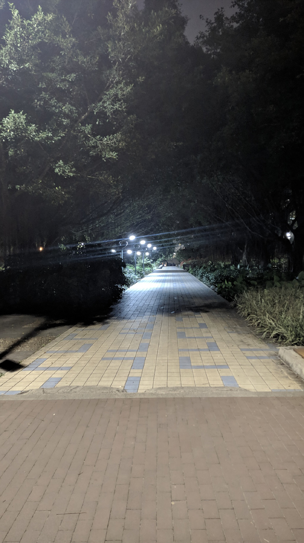 森林公园福州徒步,福州闽江公园骑行绿道