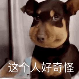 威震天得知自己被举报,威震天被举报外国人评论