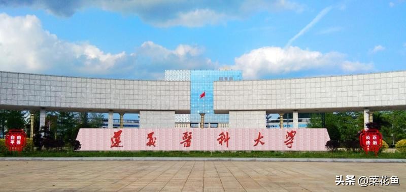 遵义医学院和贵州医科大学哪个好,贵州医科大学和遵义医科大学谁强