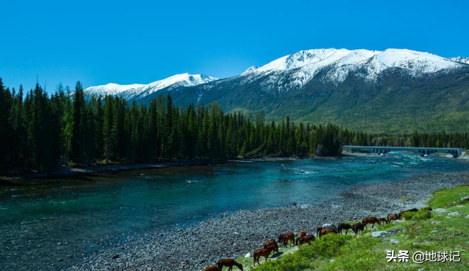 *疆新**:随着环境慢慢变好,*疆新**正在迎来复苏,该不该人工干预