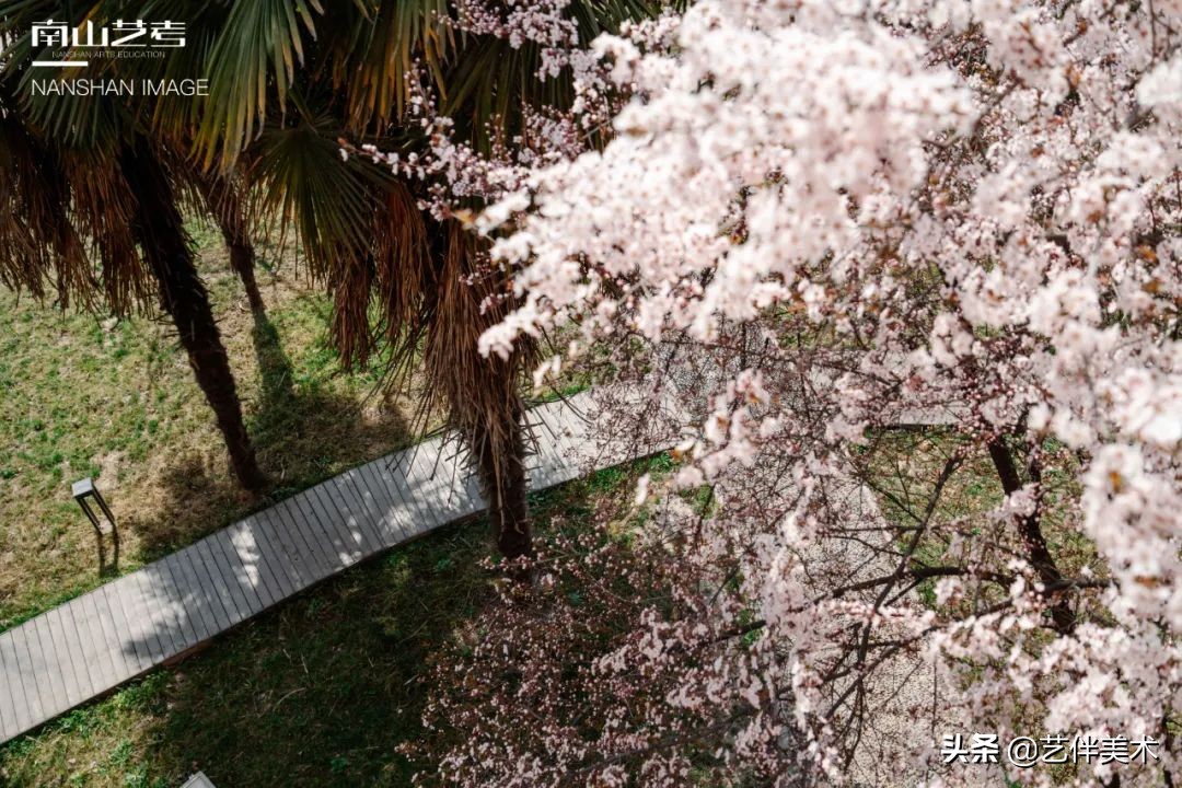 南山艺考画室怎么样收费,西安南山艺考画室官方账号