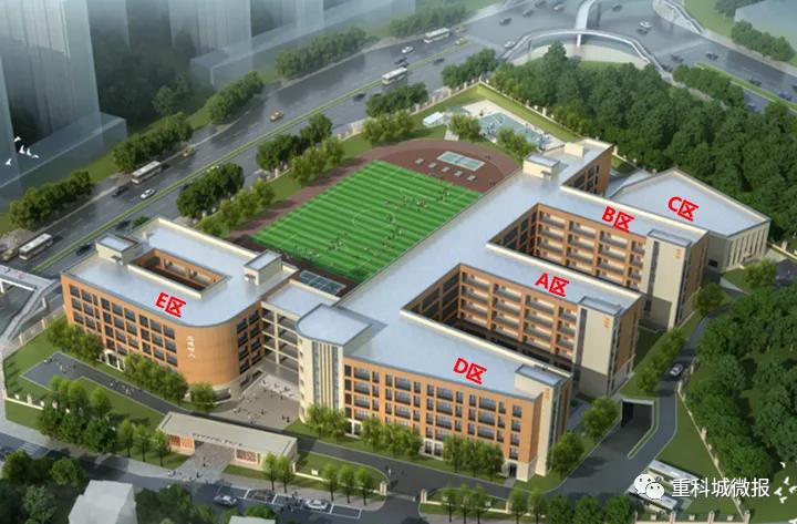 南开中学、南渝中学、树人小学、沙坪坝小学……这些名校扎堆了