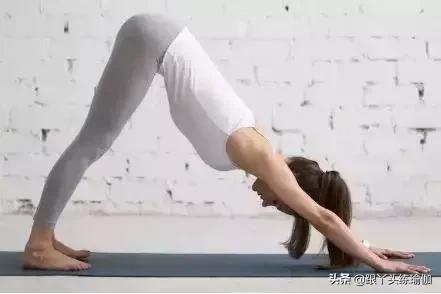 下犬式怎么做才正确,每天下犬式有什么好处