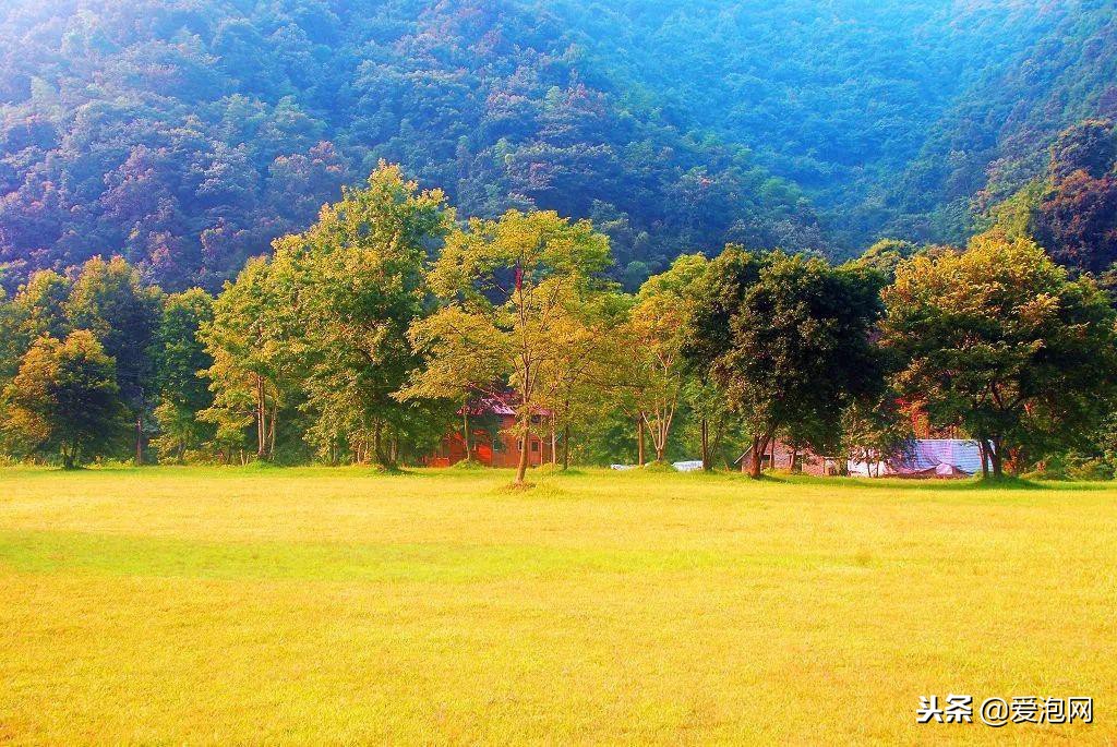 广东粤北最美公路,粤北最美的国道是哪条线