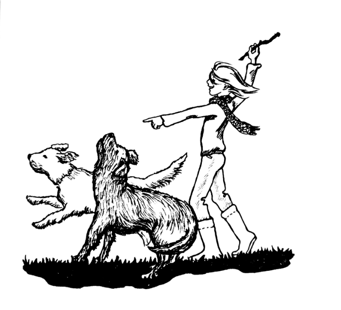 妈妈有1万元有2种理财方式,妈妈有一万元钱有两种理财方式