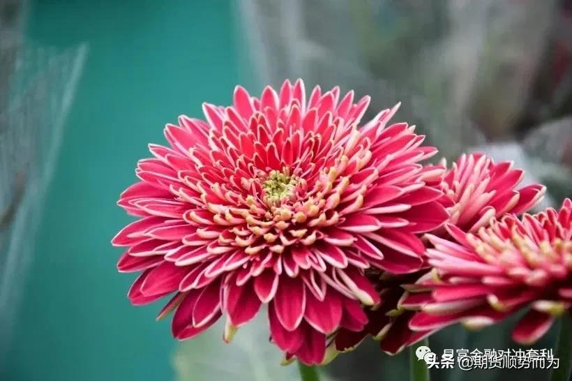 期货个股操盘波段进场指标怎么用,期货识别趋势转折点技巧