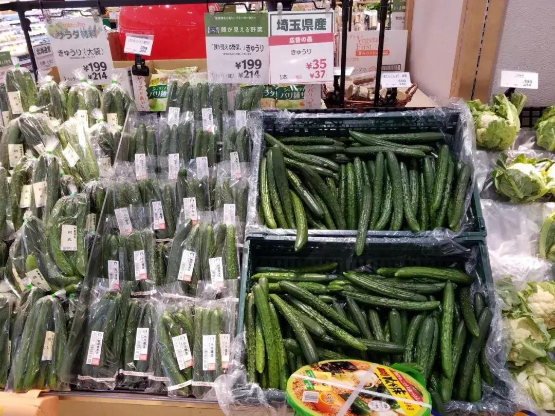 日本精致的日常生活 (日本的精致日常生活)