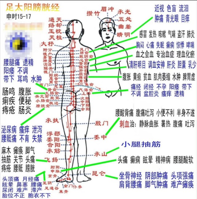 膀胱经为什么会堵,膀胱经不疏通