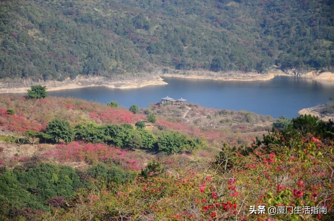 厦门3号线延伸段什么时候能通车,厦门地铁3号站点风景