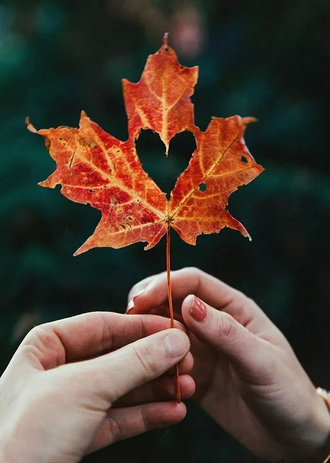 广东真的没有秋天凉吗,广东是没有秋天的吗文案