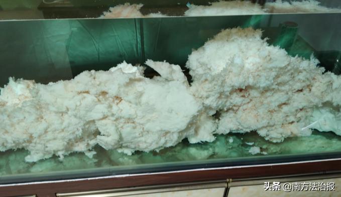 食话食说食品安全知识,食品安全必知