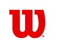 羽毛球品牌三大厂是哪些,羽毛球国际十大品牌有哪些