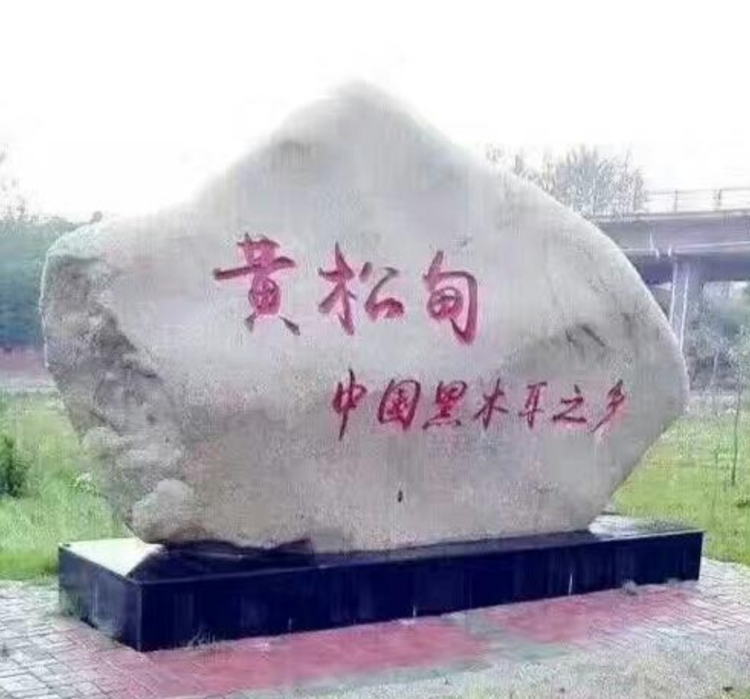 中国打造木耳之乡,中国木耳产地排行榜