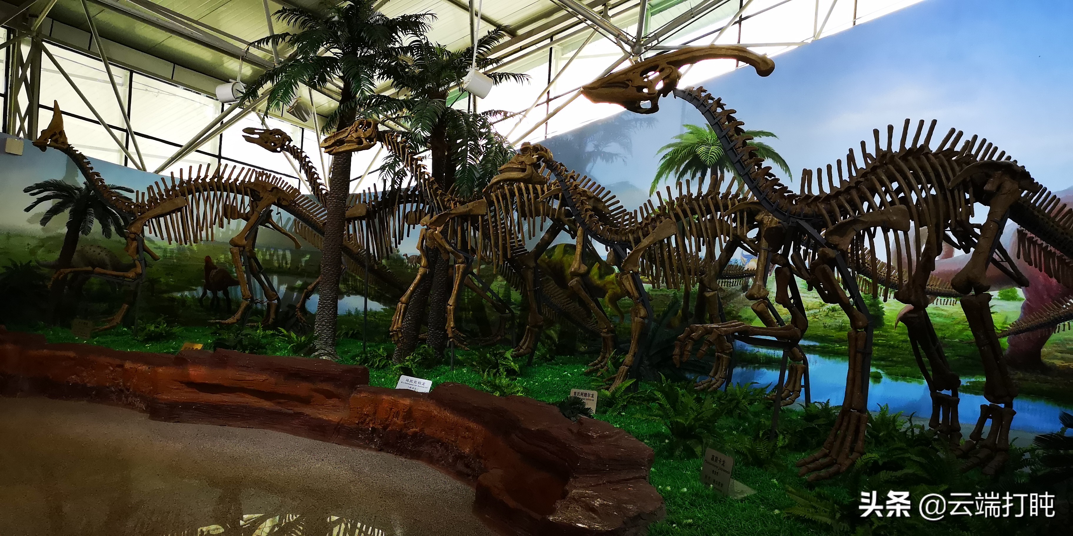 东北三省自驾大环线详细路线图,东北大环线自驾游记