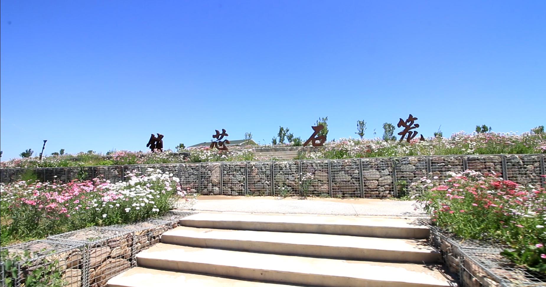又一大片花海惊艳滹沱河,滹沱河生态景区滹沱花海