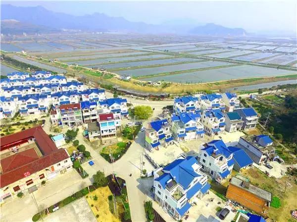 台州三门赶海民宿,三门民宿推荐浙江