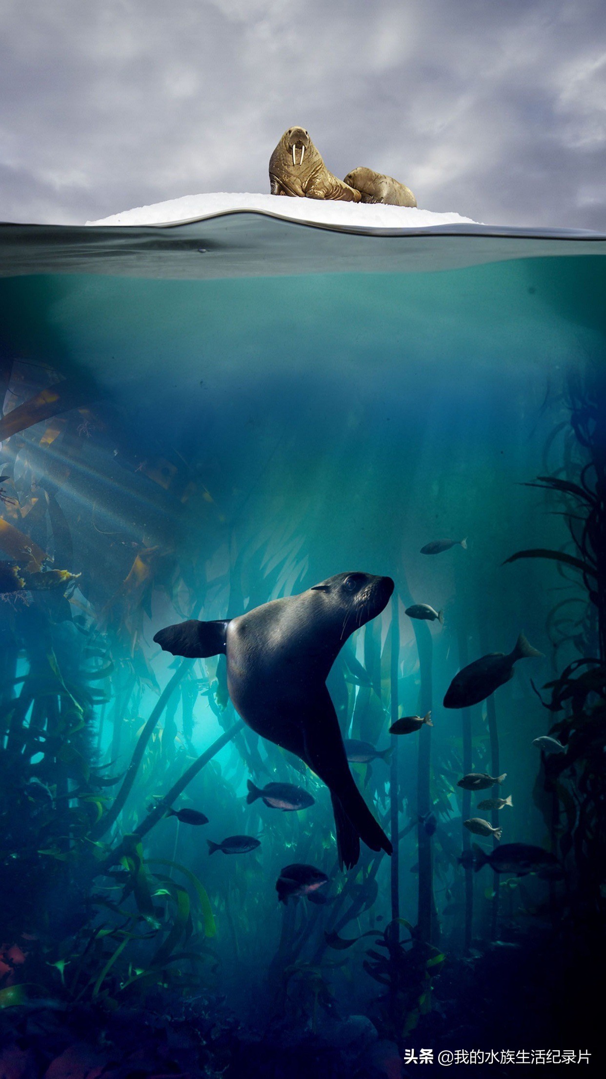 超高清海洋沙滩风景壁纸全屏,壁纸分享特别的海洋壁纸