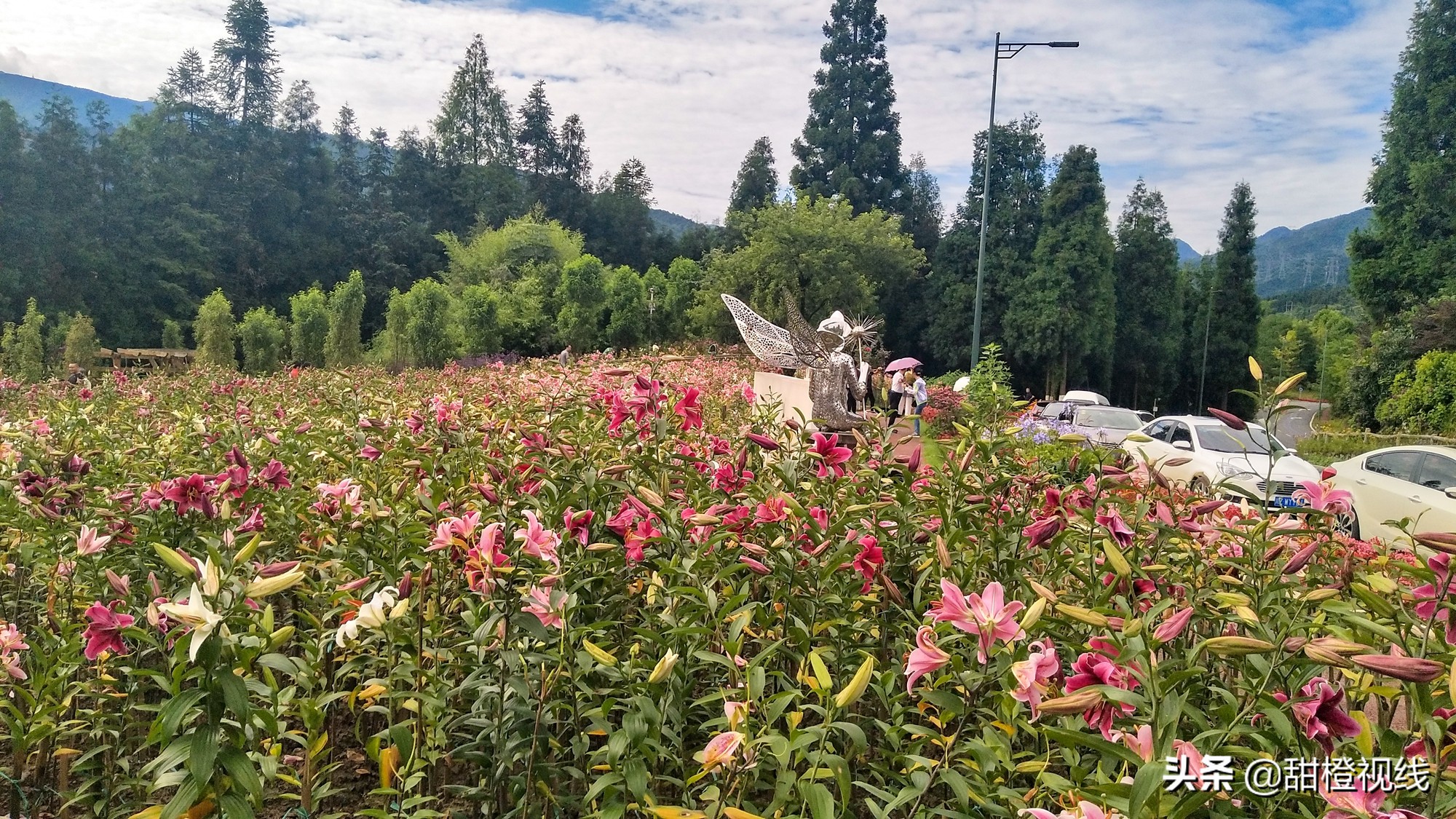 洪雅七里坪温泉小镇,洪雅县七里坪度假区管委会