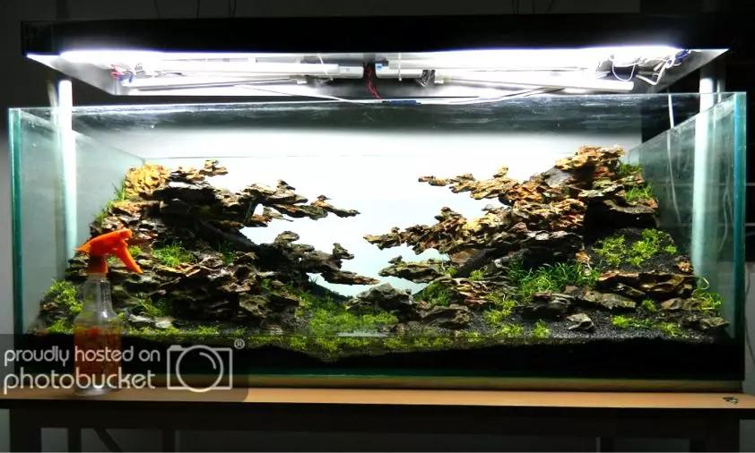 草缸造景教程：胶水造景太温柔，男人就该上电钻