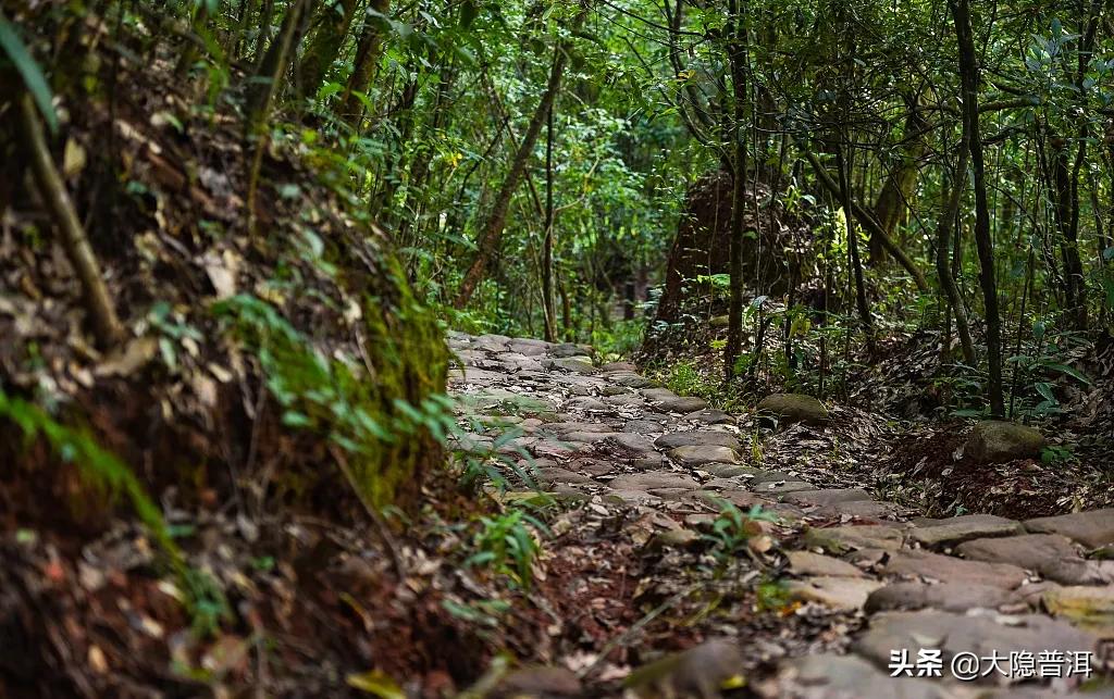 云南必去的10个宝藏打卡地,云南宝藏打卡圣地