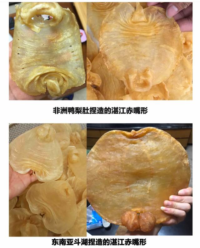 花胶燕窝正品鉴别方法图片,缅甸花胶真假鉴别方法