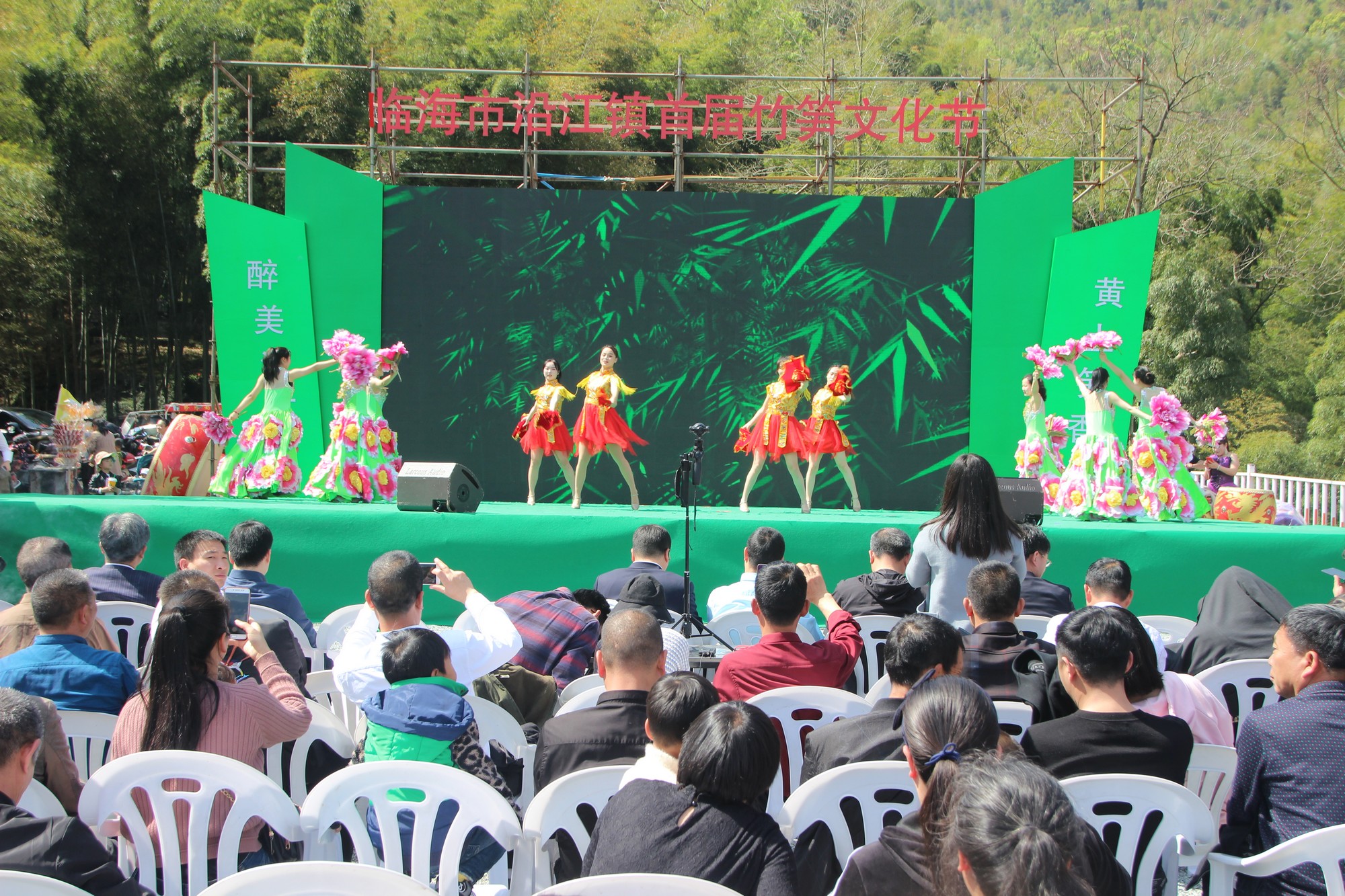 临海黄土山竹笋,浙江竹笋哪里最好