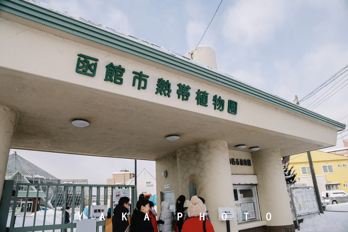 北海道函馆攻略一日游,12月北海道函馆有什么推荐