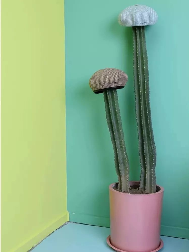 易烊千玺同款小众好物,易烊千玺蔡徐坤同款国潮鞋