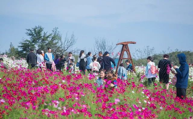 中国之美惊艳全世界,中国之美镜头视频