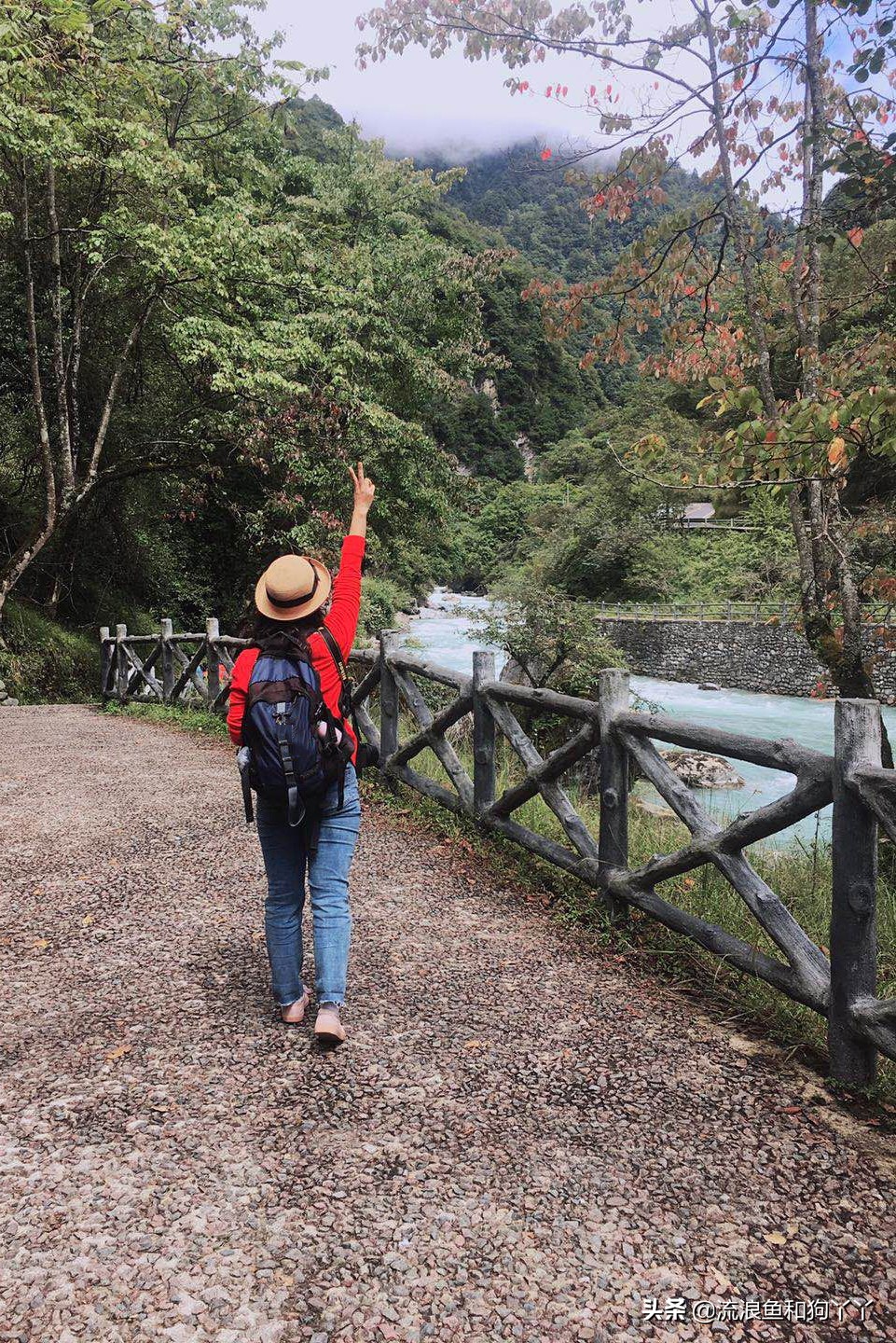 二郎山喇叭河看鹿,二郎山喇叭河看日出攻略