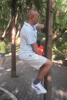 金毛搞笑表情图片伸手,金毛吃醋的搞笑图片