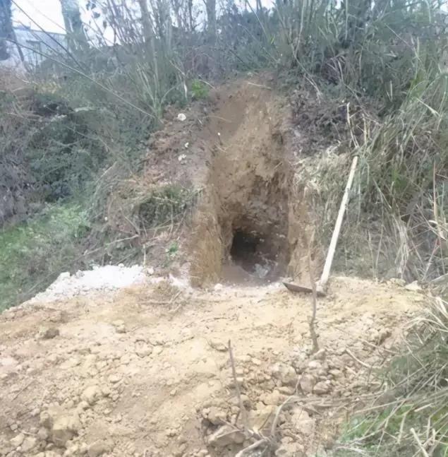 藏品到底该如何出手,藏品怎么展示