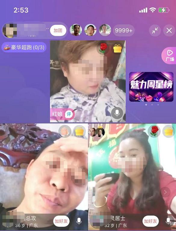 红娘直播间的“生意”,老实人的被套之路