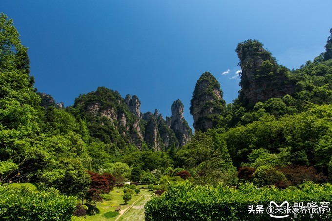 张家界武陵源天门山三日游团购,天门山森林公园张家界自由行攻略