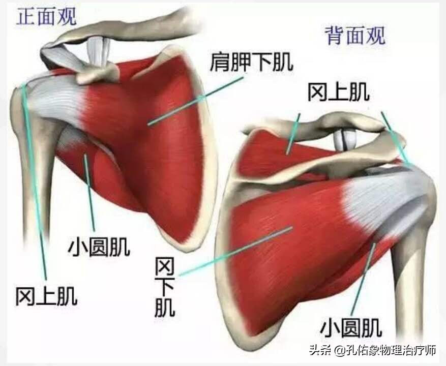 肩膀中风疼痛快速缓解方法,中风后左肩膀痛怎么办