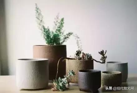 世上没有什么药能解生活的苦,世上无药可治的病