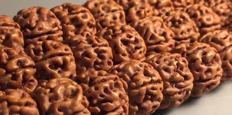 小金刚菩提子各种纹路图片,小金刚菩提的纹路有哪些